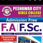 Peshawar city girls college(private)