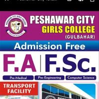 Peshawar city girls college(private) ico