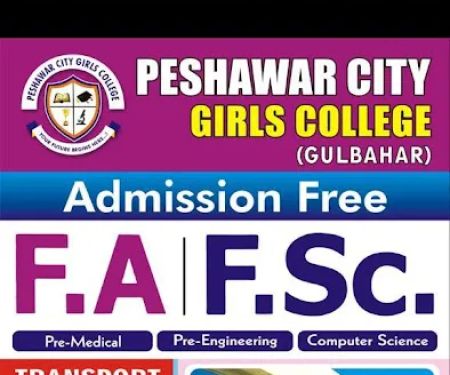 Peshawar city girls college(private)