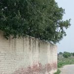 GPS no 2 Turlandi Nowshera