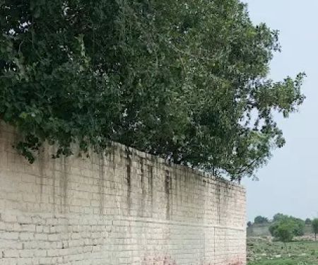 GPS no 2 Turlandi Nowshera