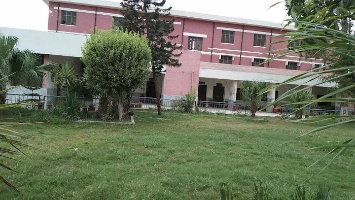 Government Degree College Mathra Peshawar Picture 7
