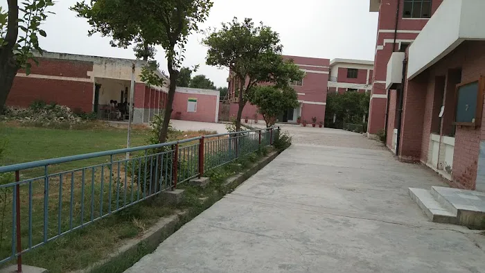 Government Degree College Mathra Peshawar Picture 4