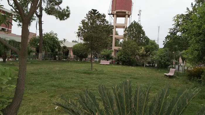 Government Degree College Mathra Peshawar Picture 3