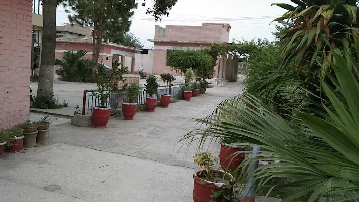 Government Degree College Mathra Peshawar Picture 6