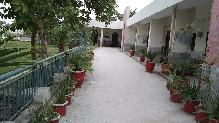 Government Degree College Mathra Peshawar Picture 2