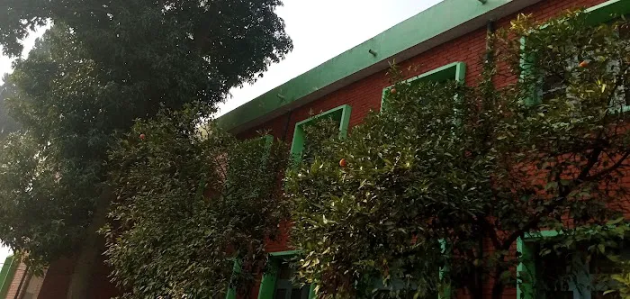 Government Khushal Khan Khattak Degree College Picture 2