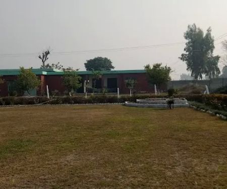 Government Khushal Khan Khattak Degree College