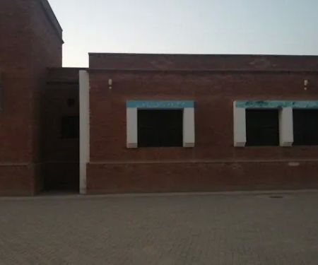 Govt Boys Elementary school canal Colony Daud khail