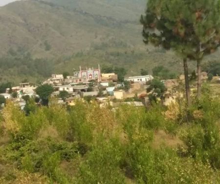 Govt Girls Primary School Battal Payee