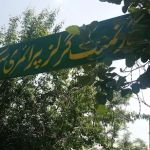Government Primary School Dhaman Dheri