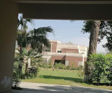 Jinnah College Charsadda