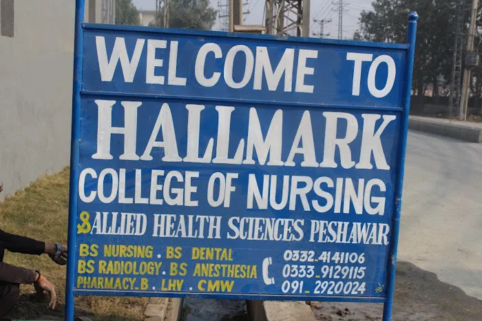Hallmark college Picture 2
