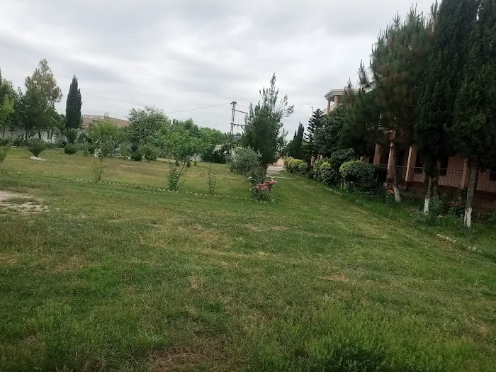 Government Degree College Wadpagga Peshawar Picture 8