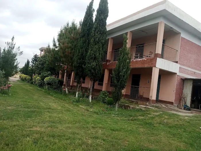 Government Degree College Wadpagga Peshawar Picture 3
