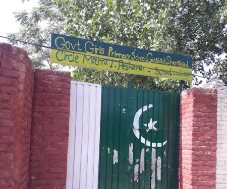 Govt Primary School Girls, Sher Abad