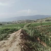 Government Girls Post Graduate College No. 1, Kohat ico