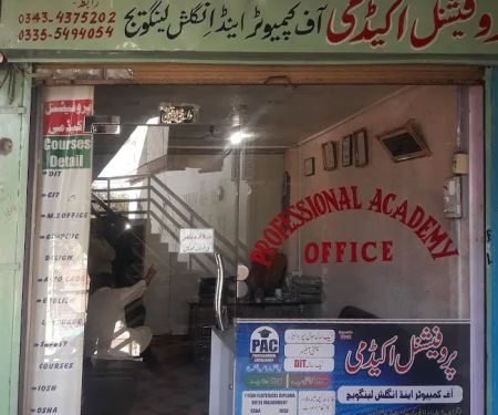 Professional Academy Kohat