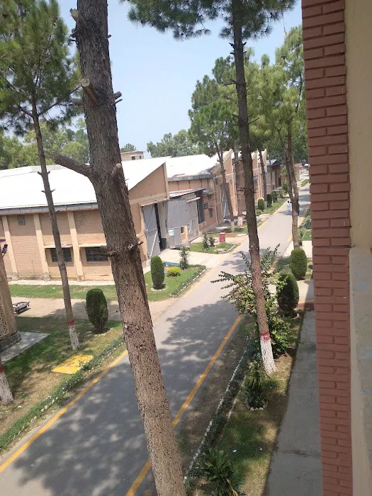 POF Institute of Technology Picture 10