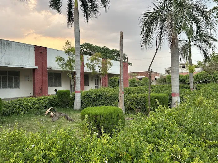 Govt. Degree College (Boys) Lalamusa Picture 7