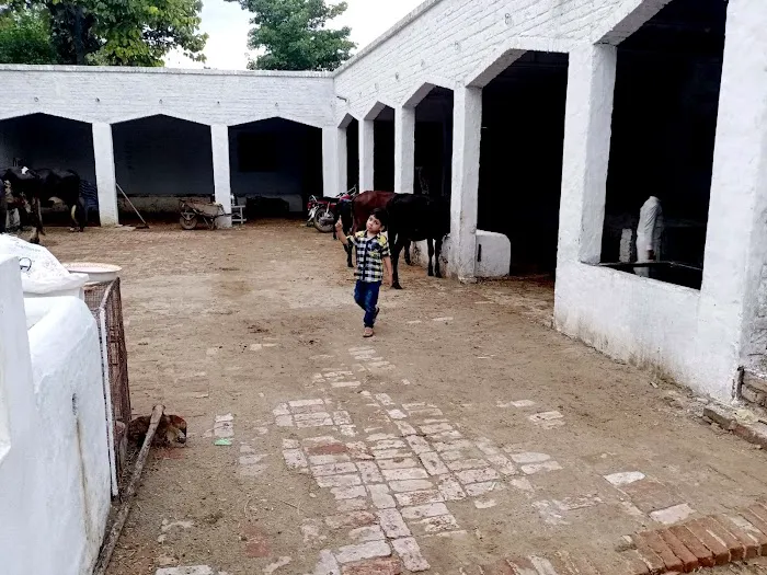 Govt. Degree College (Boys) Lalamusa Picture 3