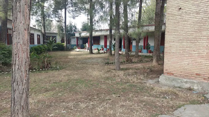 Deptt of Physics Picture 2