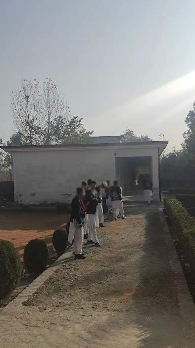 Jowar B kolock Picture 1