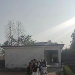 Jowar B kolock