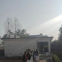 Jowar B kolock ico