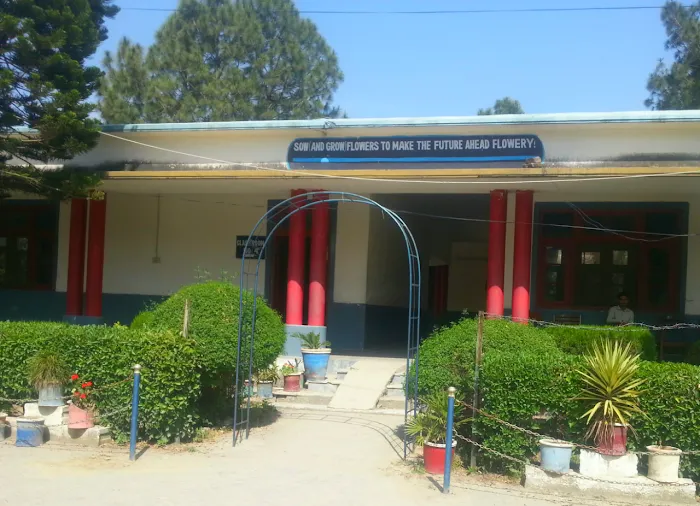 Government Degree College Daggar Picture 9