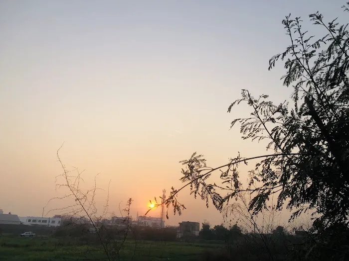 Shifa Tameer-e-Millat University (Park Road Campus) Picture 7