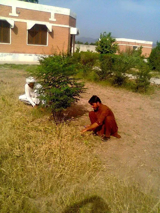 Government Degree College Banda Daud Shah Picture 6