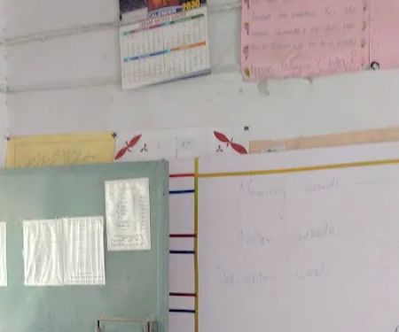 Government Primary School (GPS) No. 1 Pakha Ghulam, Peshawar