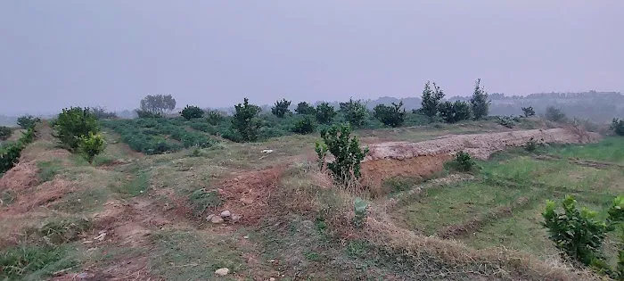 Northern University Picture 7