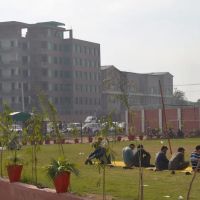 Abasyn University ico