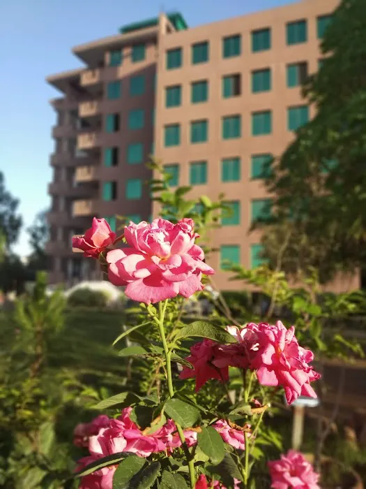 Abasyn University Picture 3