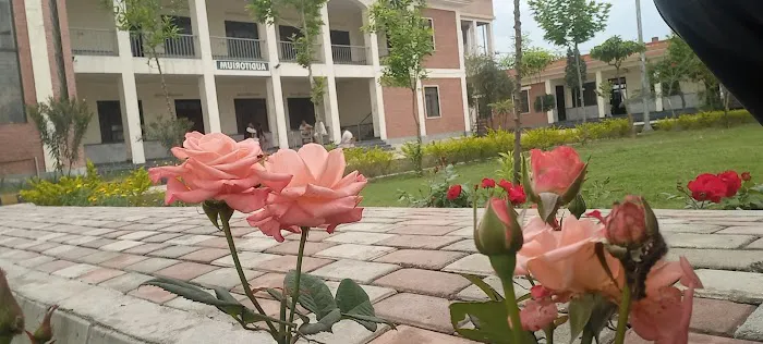 Govt Degree College Achini Payan Peshawar Picture 2