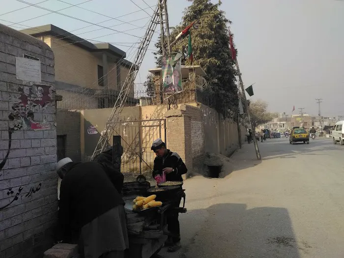 Govt Degree College For Women Picture 4