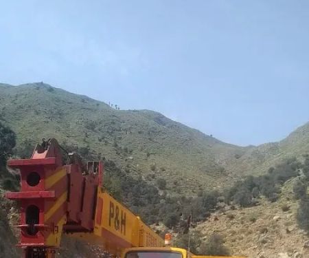 Pashawer Shah crane