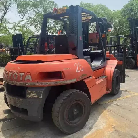 Pashawer Shah crane Picture 6