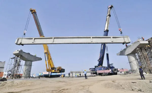 Pashawer Shah crane Picture 2