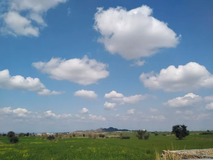 Pir Meher Ali Shah Agriculture University Picture 3
