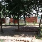 Government Primary School (Boys), DALIA