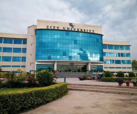 Department of Management Sciences (CUSIT)