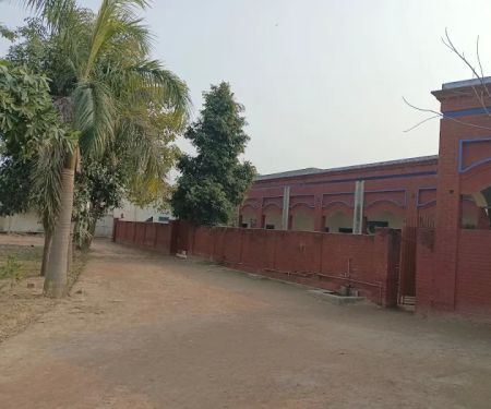 The Cambridge scholar high school