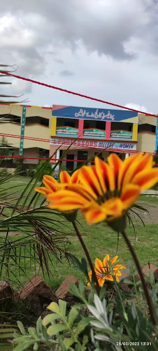 Professors College and school for women Picture 2