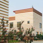 University Of The Punjab