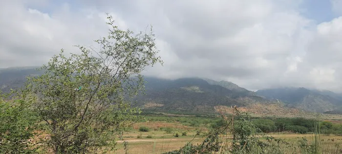 Nims kohat Picture 3