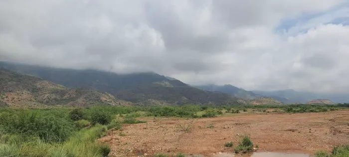 Nims kohat Picture 1