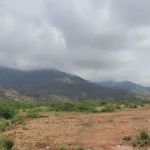 Nims kohat